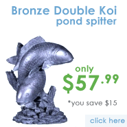 Bronze Koi Spitter