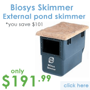 External Pond Skimmer