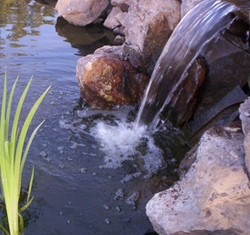 Waterfall and pond supplies