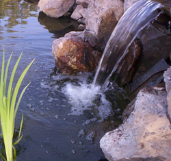 ponds with fountains